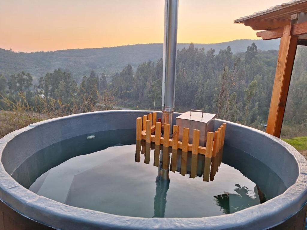 Příroda nedaleko apartmánu