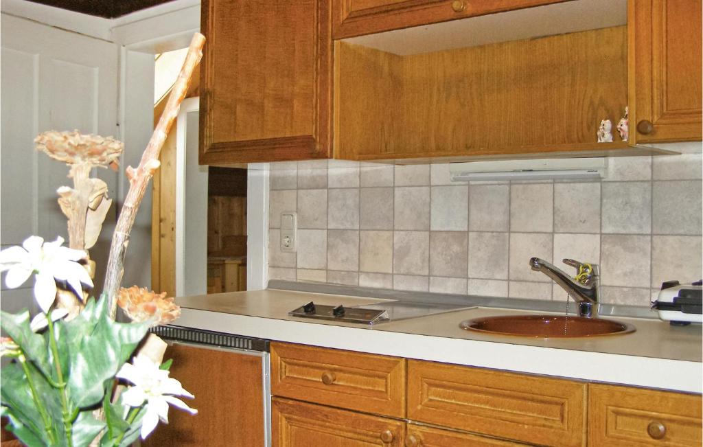 Kuchyňa alebo kuchynka v ubytovaní Ferienhaus In Ruhiger Lage