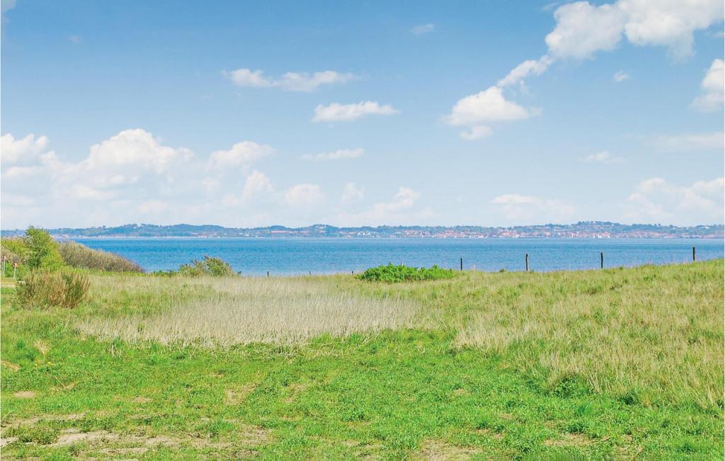 a field of grass with the ocean in the background at Holiday Home Knebel 26 in Knebel