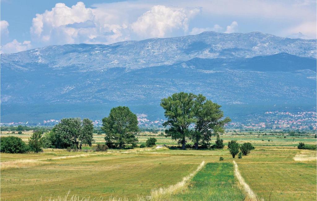 Príroda v okolí dovolenkového domu