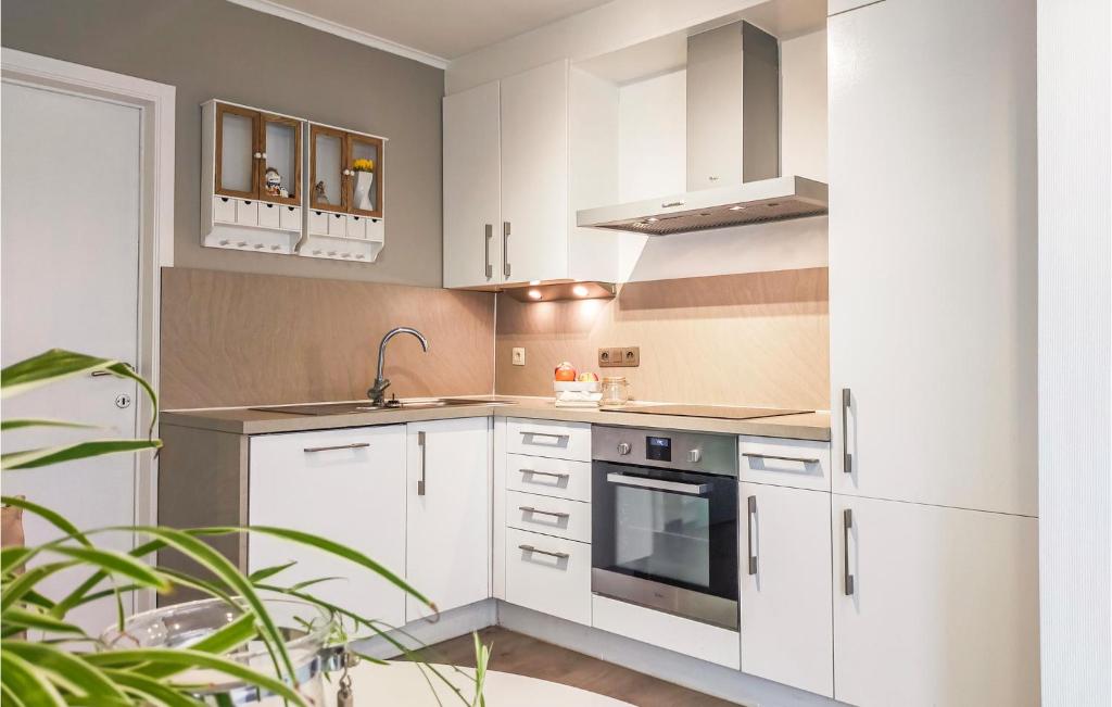 Kuchyň nebo kuchyňský kout v ubytování 3 Bedroom Pet Friendly Home In Bredene