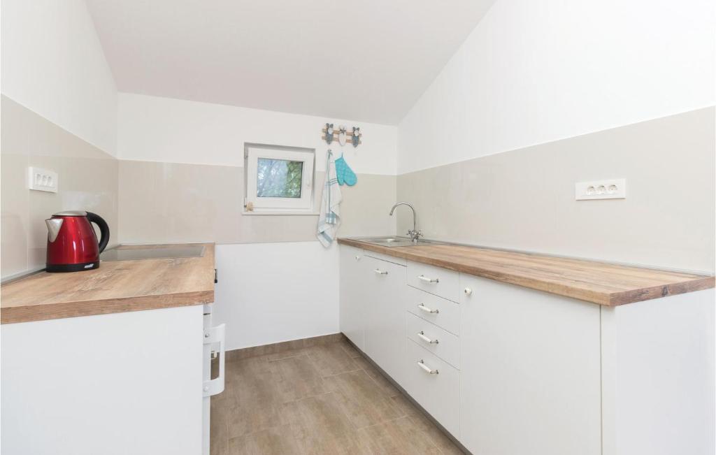 Kuchyňa alebo kuchynka v ubytovaní Four-Bedroom Holiday Home In Zdrelac