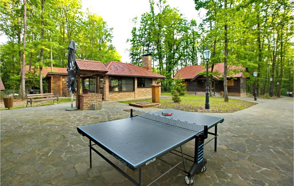 Πινγκ πονγκ στο Amazing Home In Gustelnica With Sauna ή εκεί κοντά