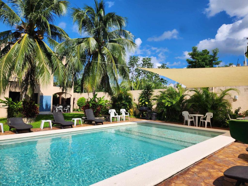 a swimming pool in a yard with chairs and palm trees at Coral Island Suites Cozumel in Cozumel