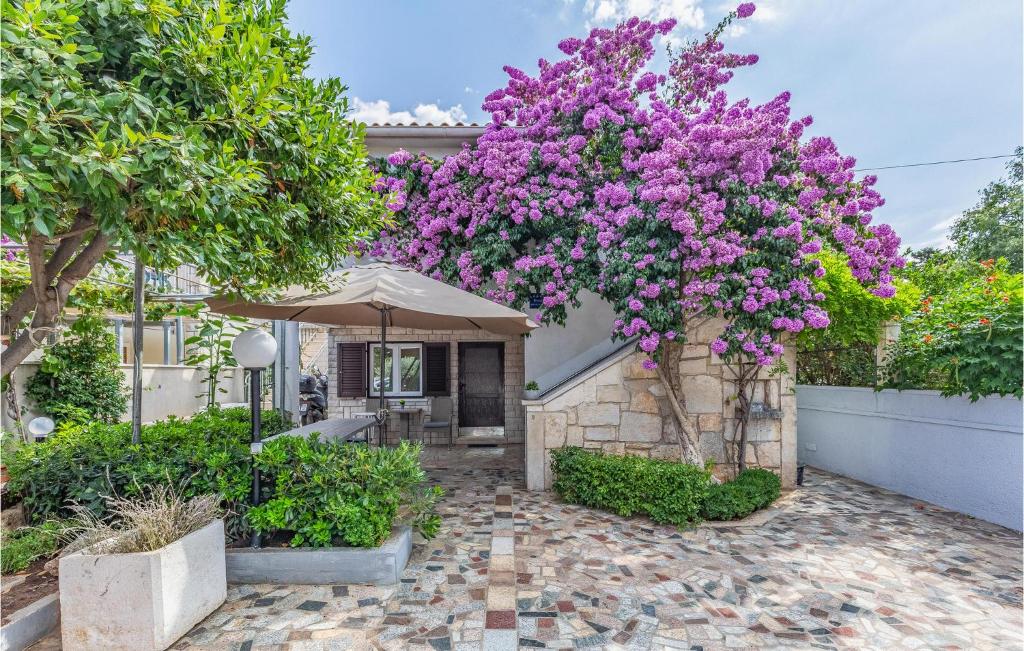 Κήπος έξω από το 2 Bedroom Cozy Apartment In Premantura