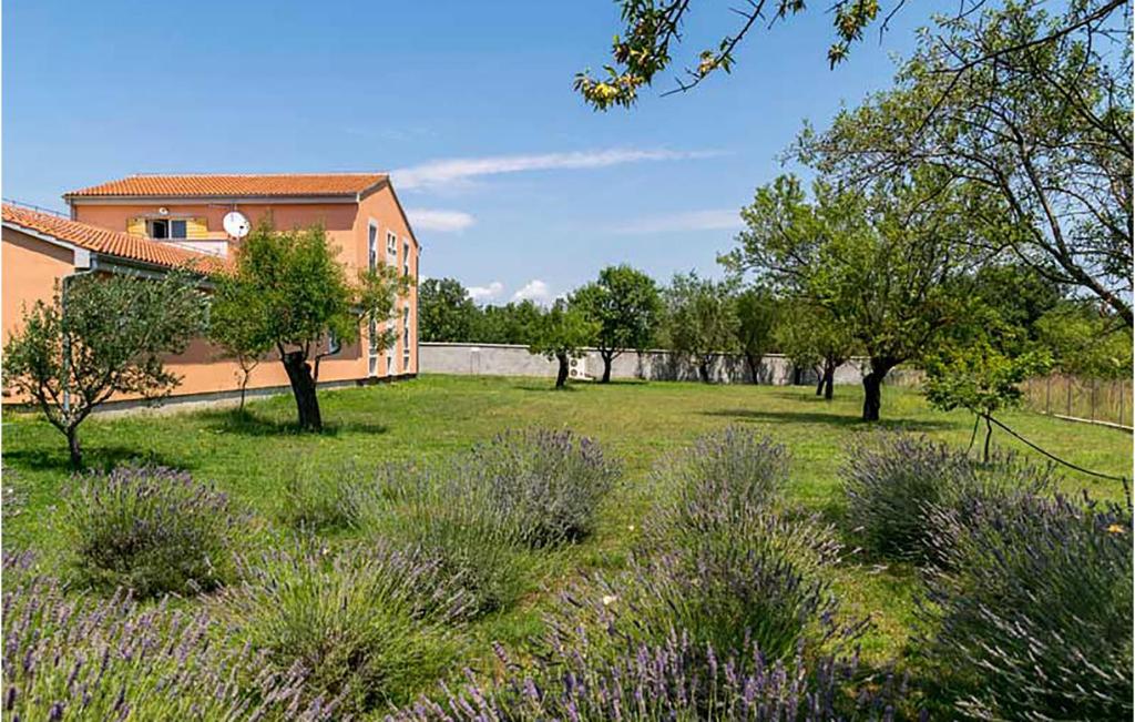 Fotografie z fotogalerie ubytování Cozy Home In Prkos With Wifi v destinaci Prkos