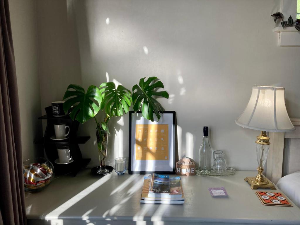 Spacious and Sunny Master Bedroom with shared bathrooms - Resim 13