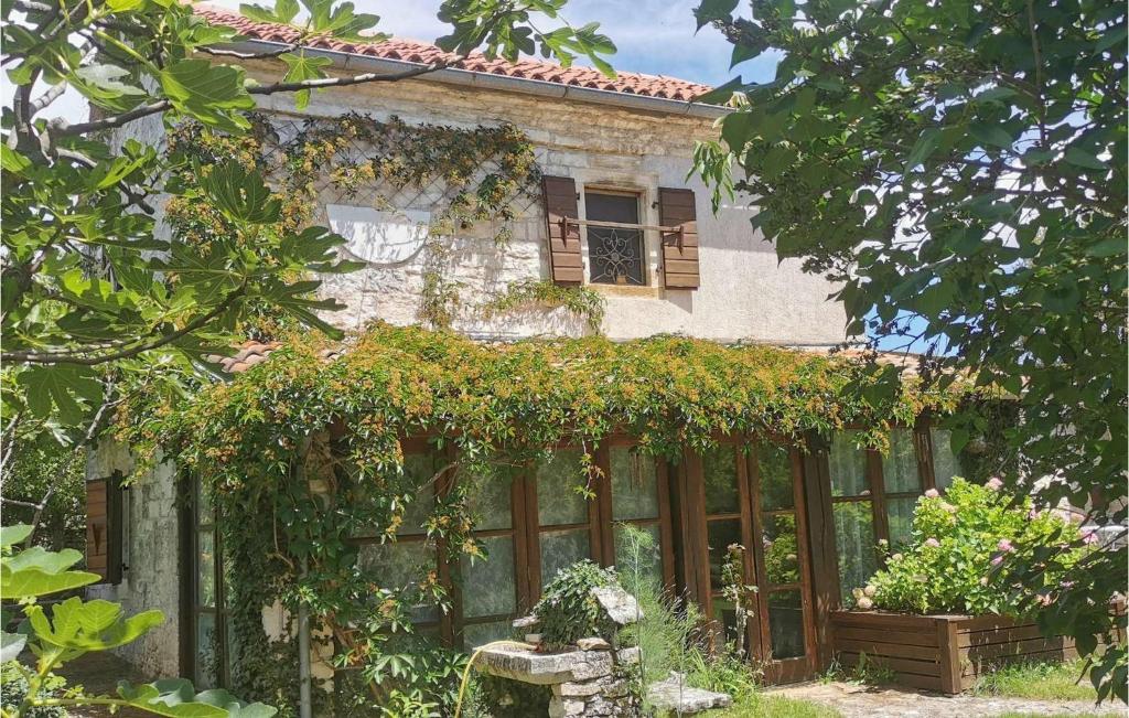 Une maison avec un tas de lierre qui y grandit dans l'établissement Villa Natural, à Žminj