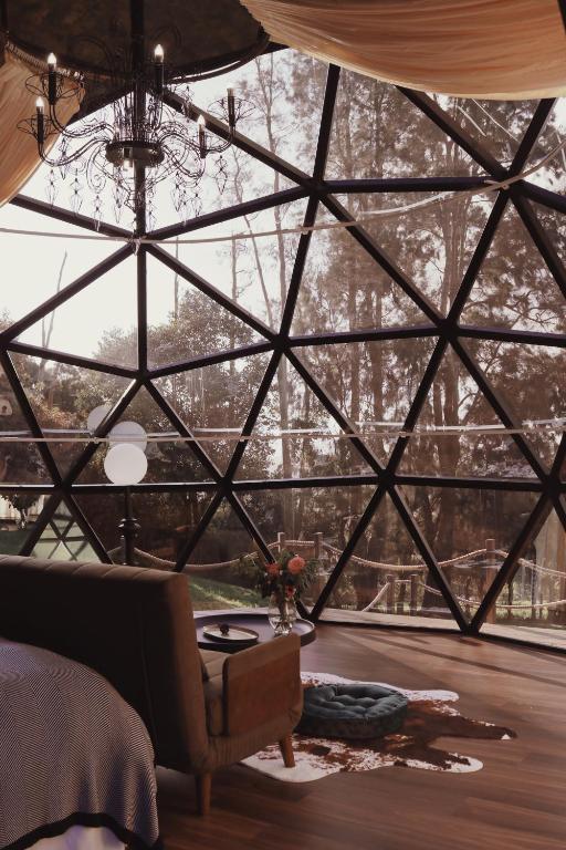 Stellar Glamping Auckland - Resim 13