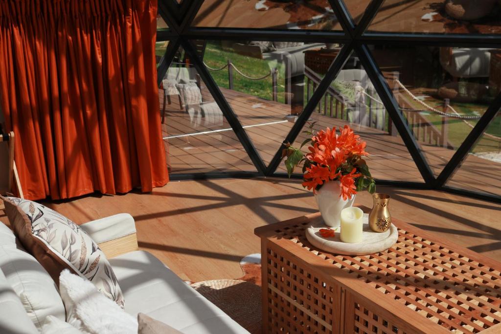 Stellar Glamping Auckland - Resim 35