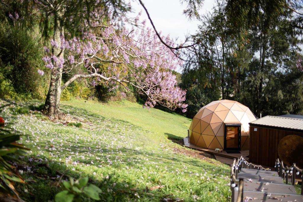 Stellar Glamping Auckland - Resim 25