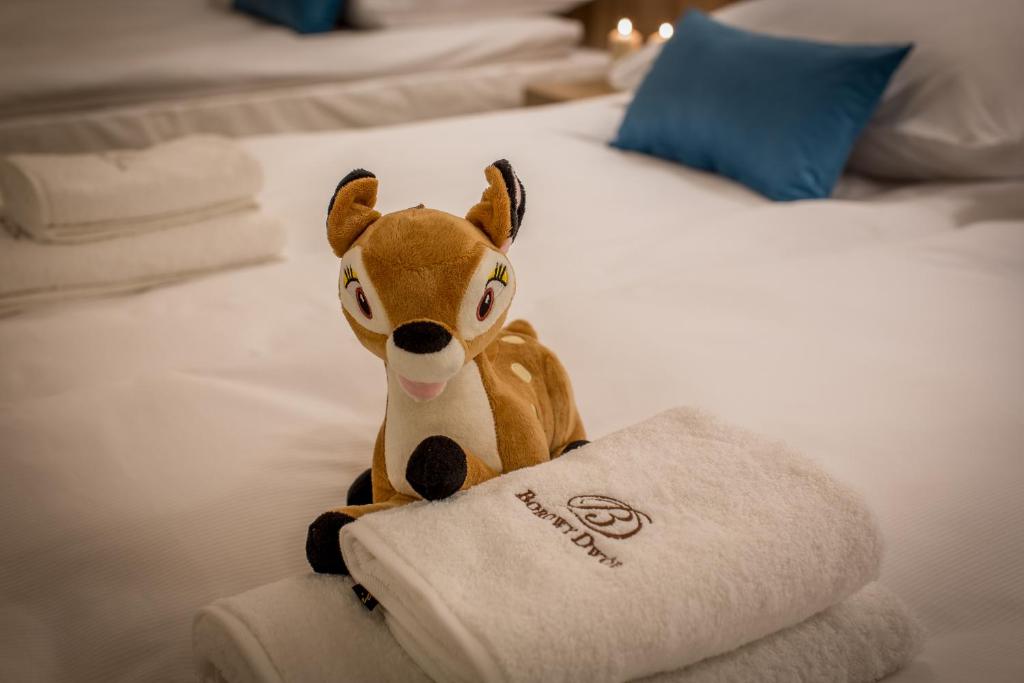 Borowy Dwór- Biznes, Spa & Fun - 13