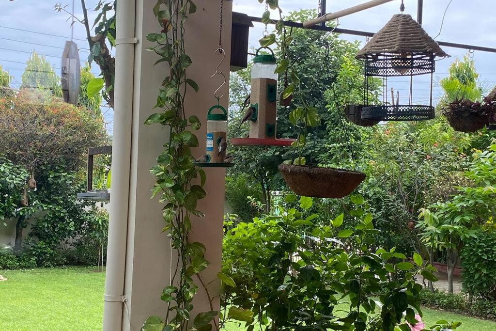 Zahrada ubytování Villa with tropical garden