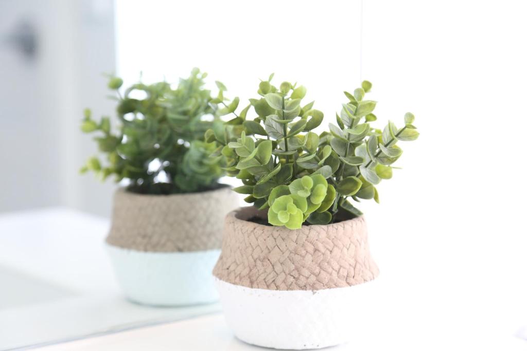 Skyline Vista - Entirely New House with Luxe Views, Espresso, Netflix & Free Parking - Resim 35