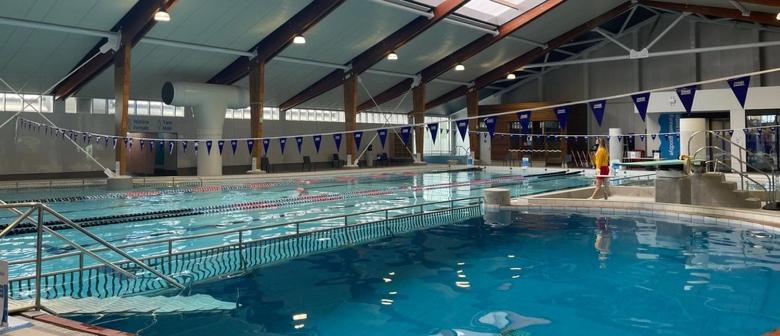 Skyline Vista - Entirely New House with Luxe Views, Espresso, Netflix & Free Parking - Resim 41