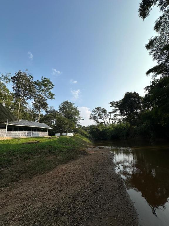 Příroda nedaleko luxury tent
