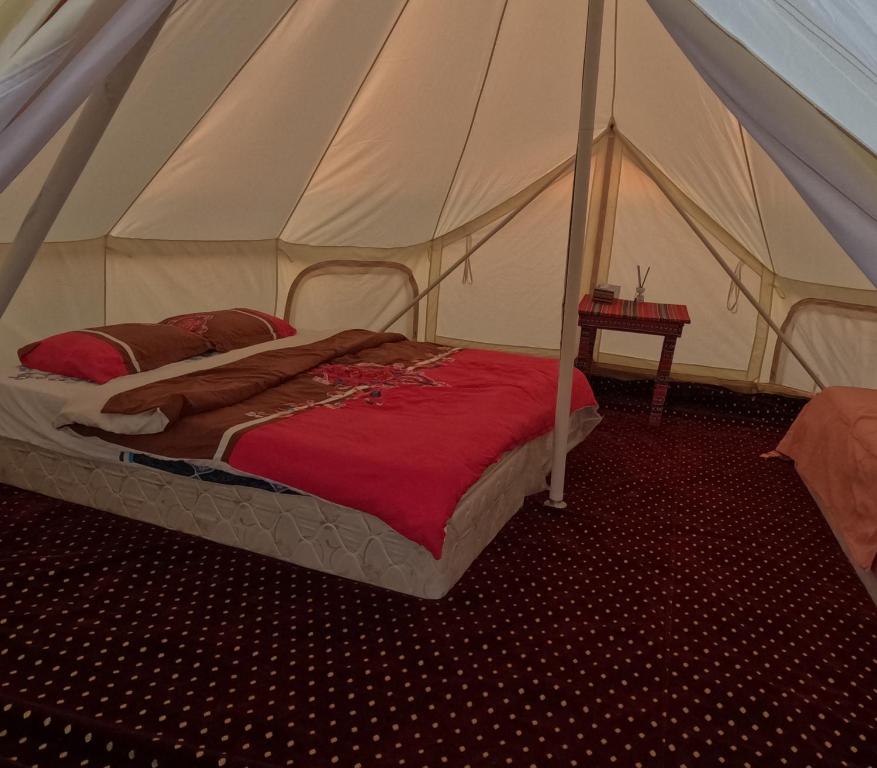 BadīyahPrivate Camel Safari Camp的相册照片