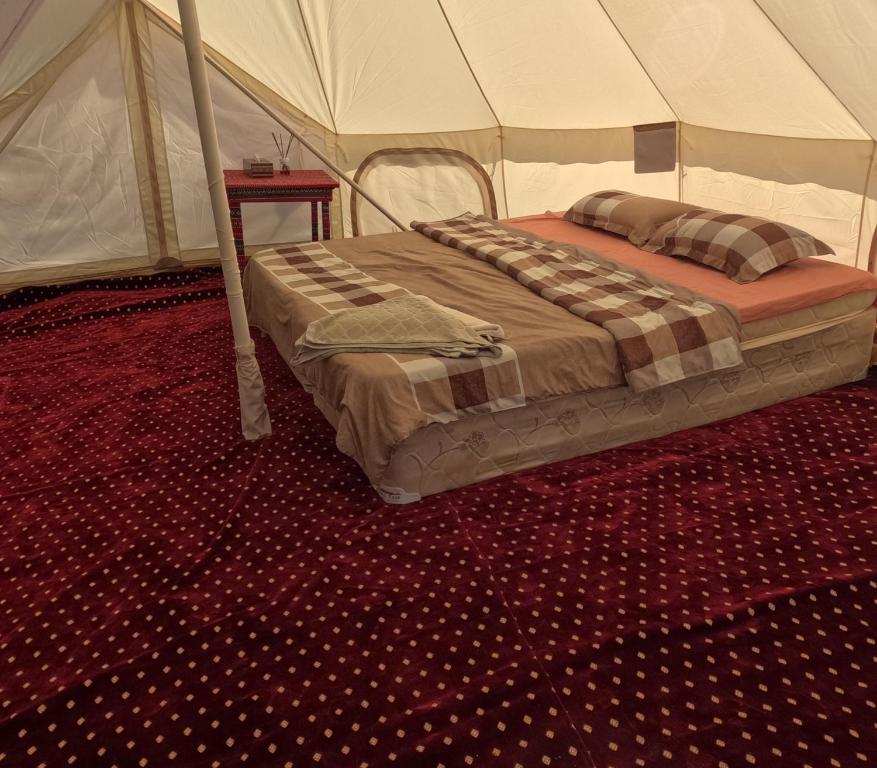 BadīyahPrivate Camel Safari Camp的相册照片
