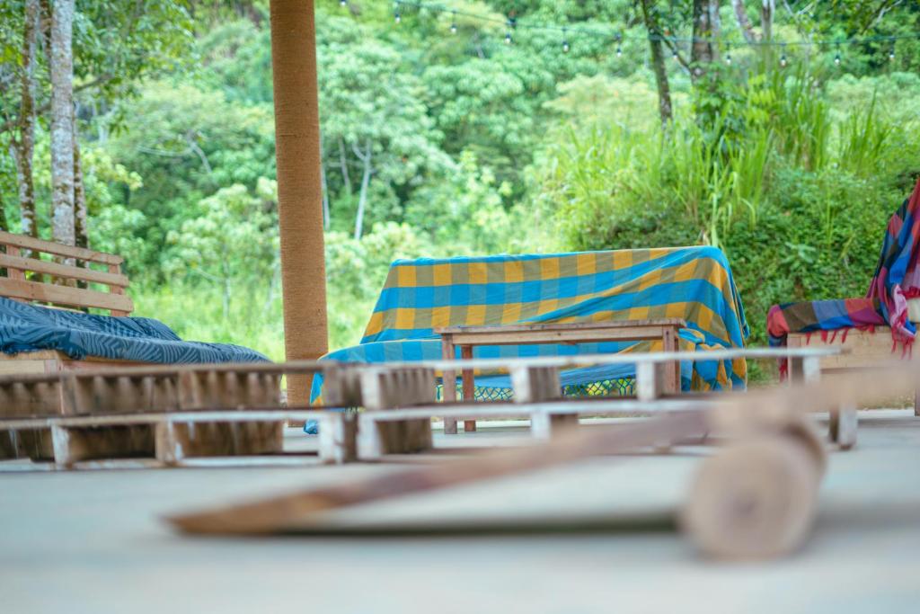 Zahrada ubytování Hostel Singha Lounge