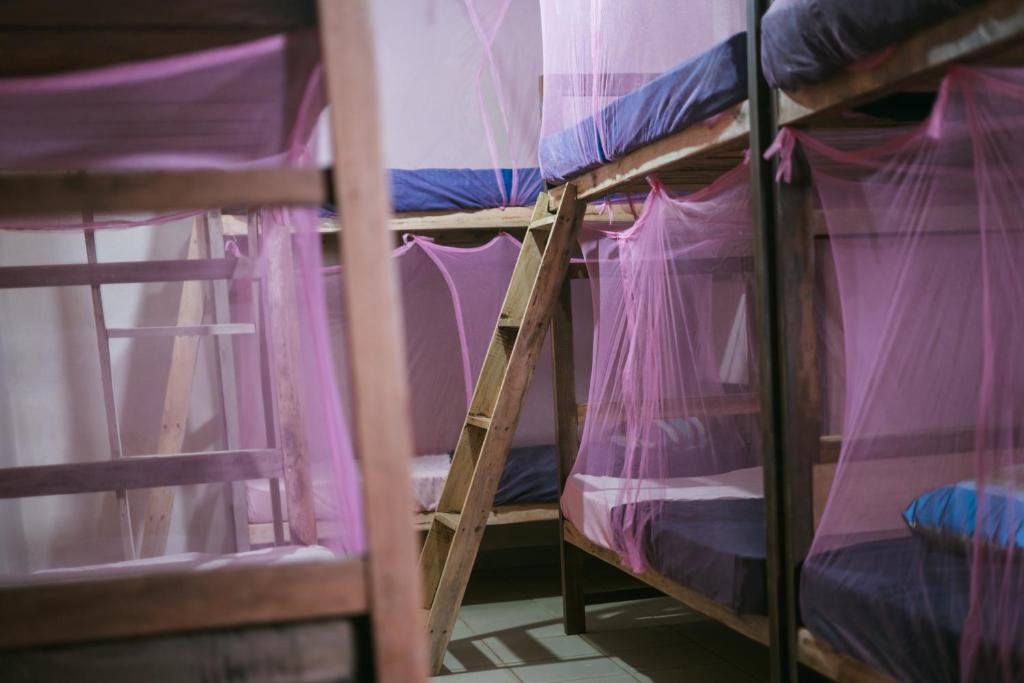 Palanda nebo palandy na pokoji v ubytování Hostel Singha Lounge