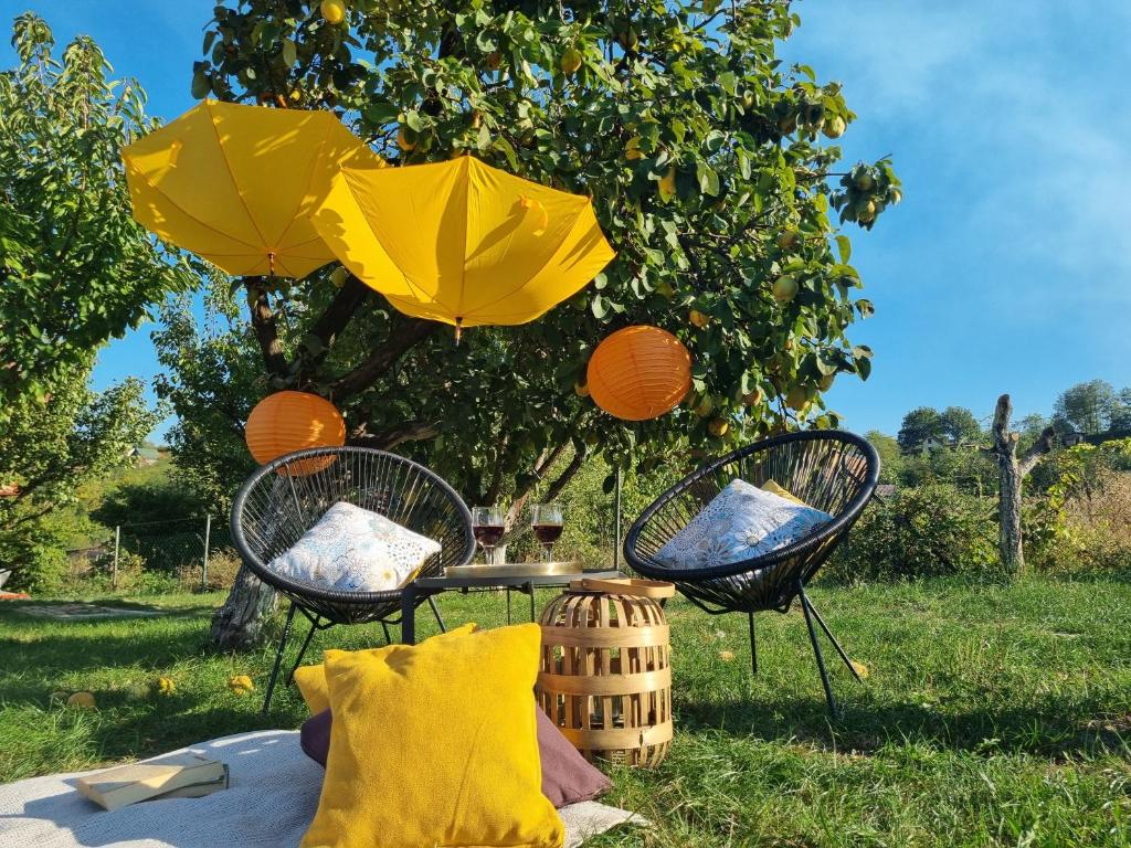 Zahrada ubytování Vila Stancevic wellness