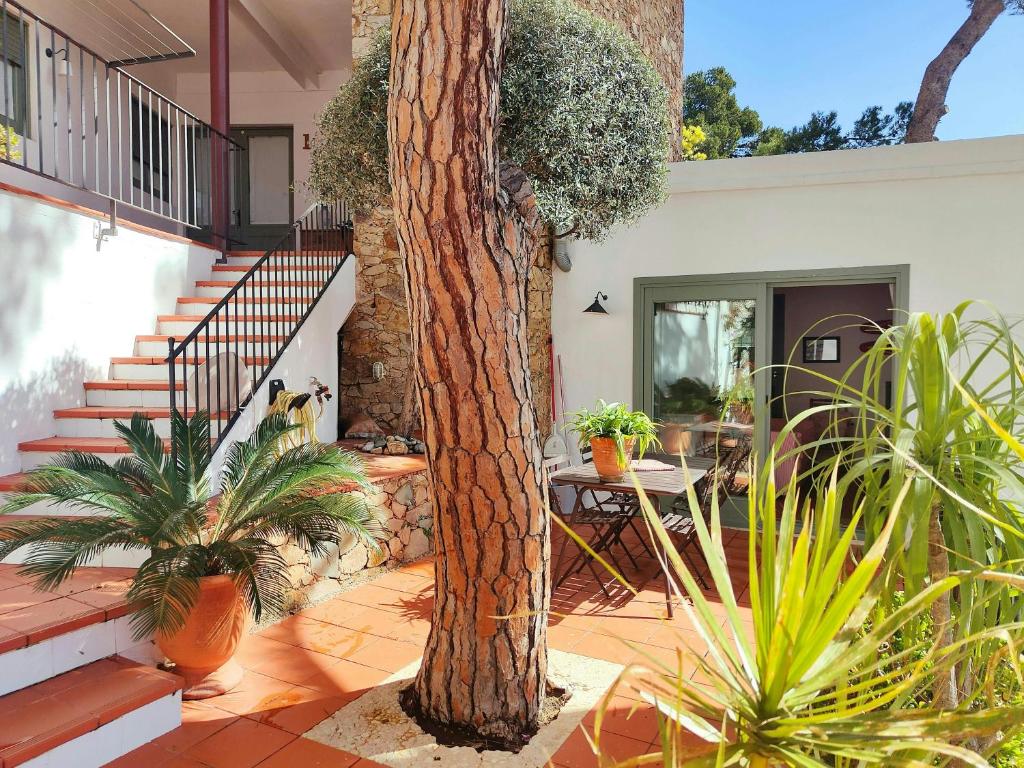 Zahrada ubytování T2 · Sunny duplex with garden 50m from beach