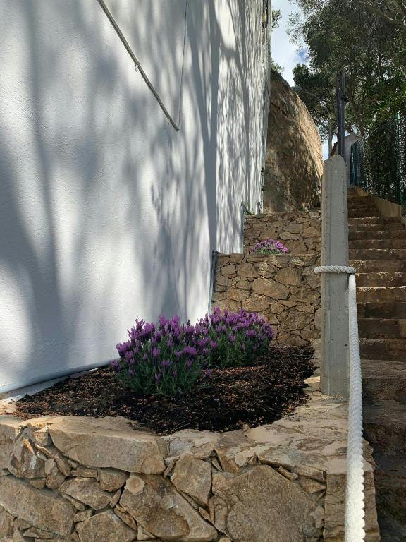 A garden outside T1· Family Getaway 50m from the Beach