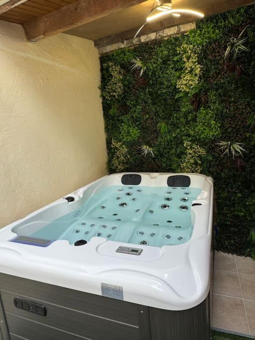 une baignoire assise devant une plante dans l'établissement Luxury Room - Havre de paix avec jacuzzi privé, à Bar-le-Duc