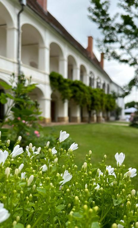 Zahrada ubytování Schloss Welsdorf