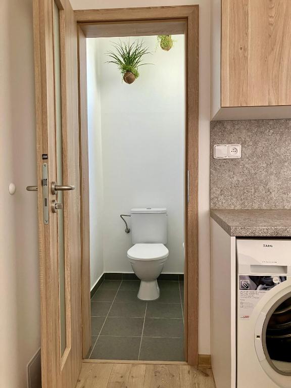 Koupelna v ubytování Apartmán 656