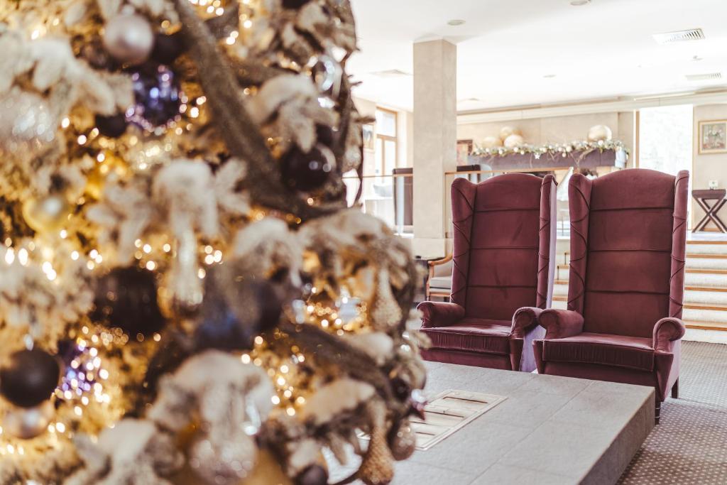 Hotel Palisad - Resim 21