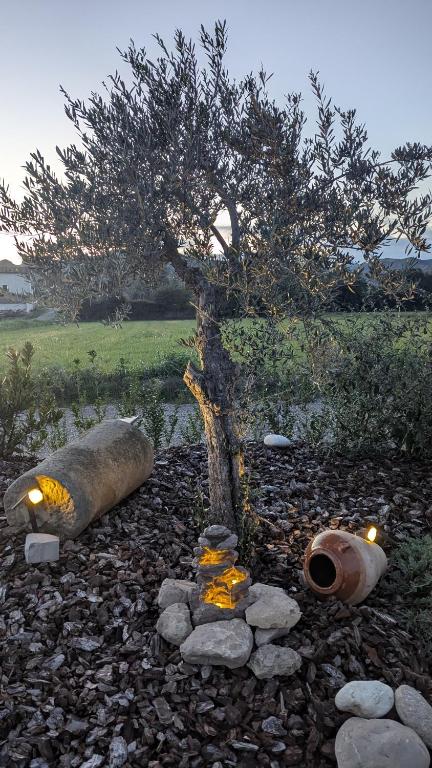 Jardín al aire libre en MASIA CLOTATS