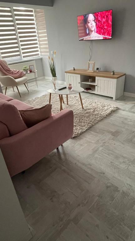 ペトロシャニにあるWOW Residence Petrosaniのソファとテレビのあるリビングルーム