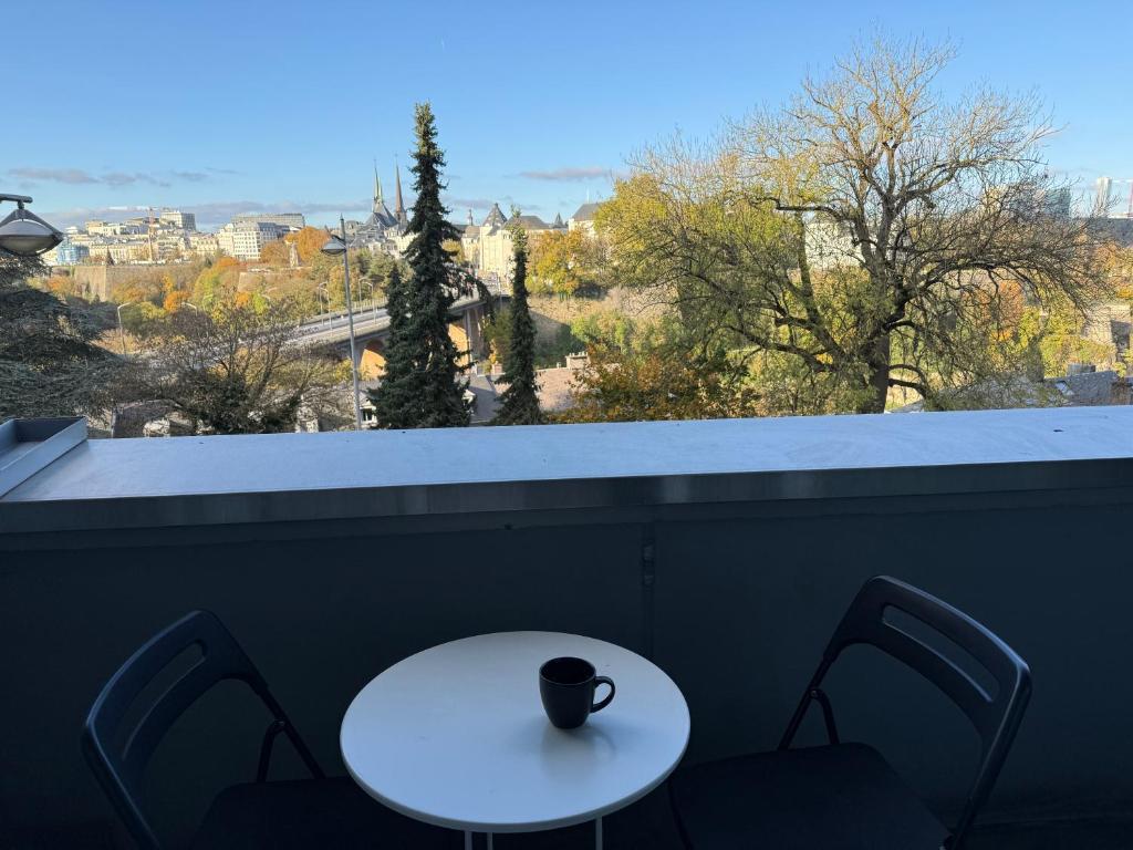 Chic Central Luxembourg Flat - Resim 14