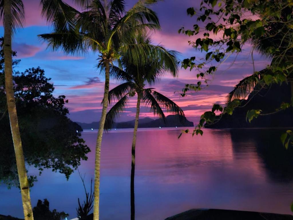 a view of a body of water with palm trees at Golden Monkey Beach Hotel in El Nido