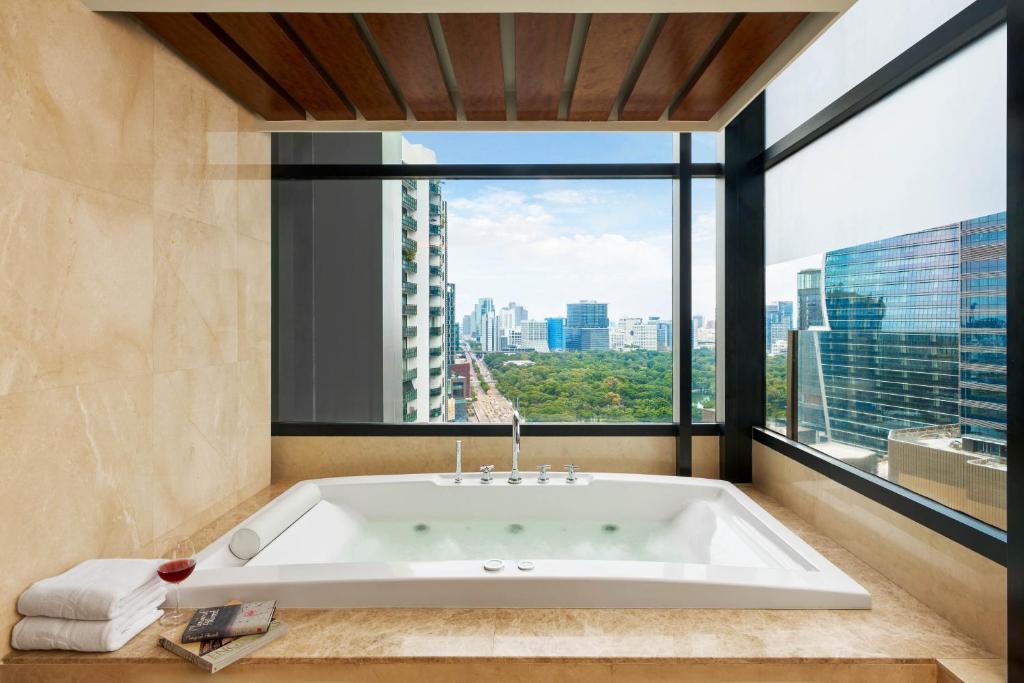 AETAS lumpini - Resim 45