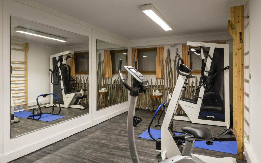 Fitness centrum a/nebo fitness zařízení v ubytování Boutique Hotel Am Park