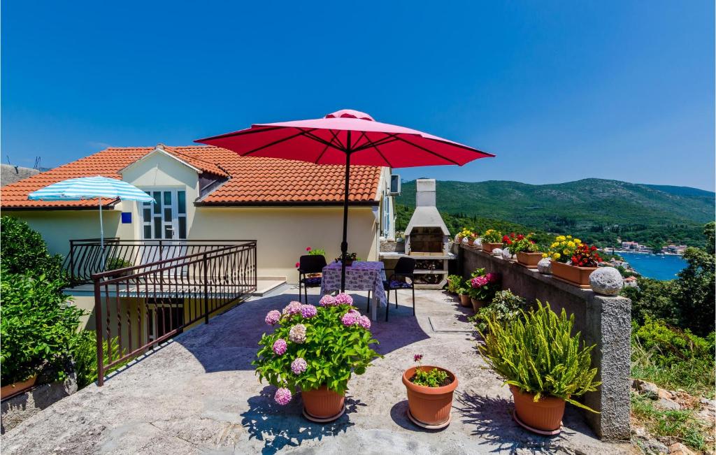 Príroda v okolí apartmánu