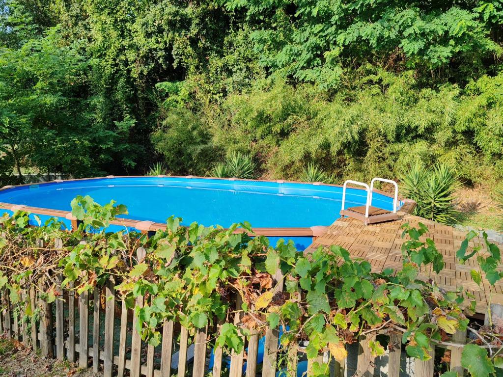 a swimming pool behind a fence with a bunch of vines at Oasi degli ulivi in Luni