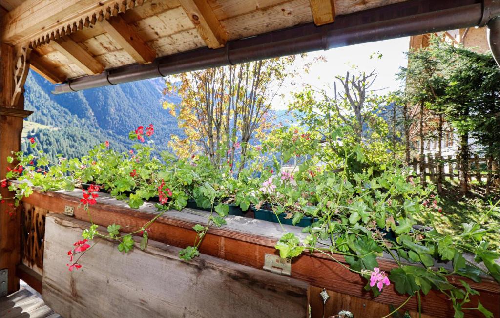 Zahrada ubytování Ferienhaus Mit Sauna