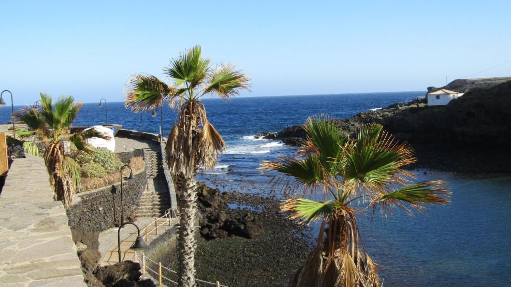 un grupo de palmeras junto al océano en Apartamento Mar y Sol Tamaduste con terracita y barbacoa a 12 metros del mar, en Tamaduste