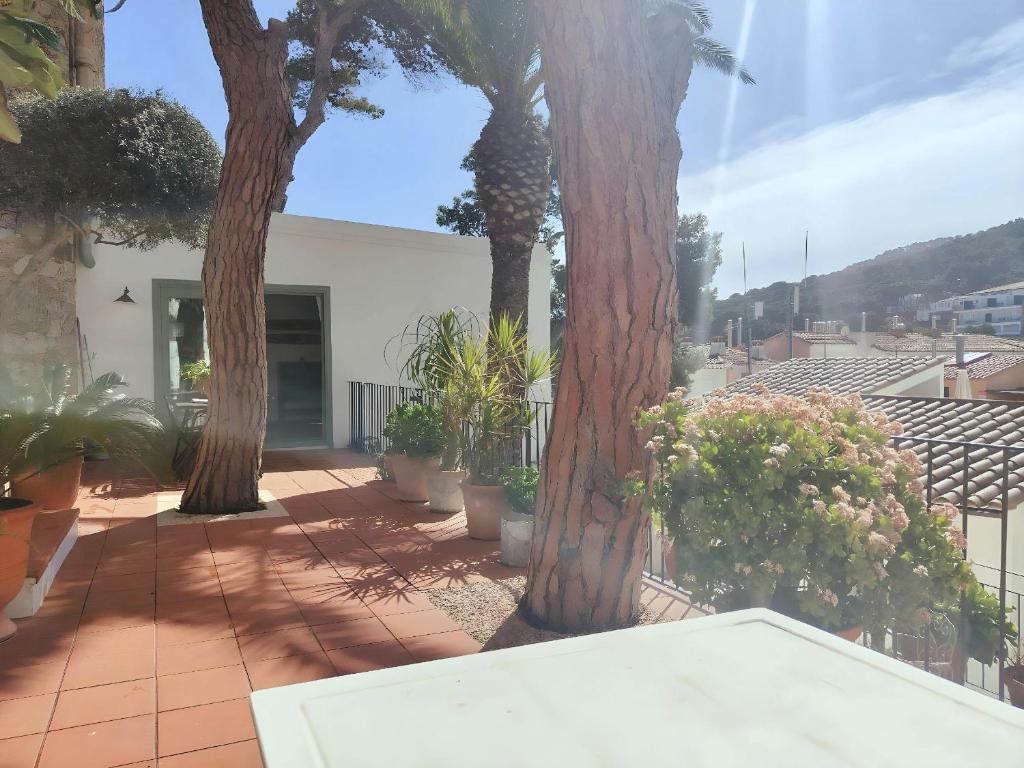 Fotografia z galérie ubytovania T2 · Sunny duplex with garden 50m from beach v destinácii Tamariu