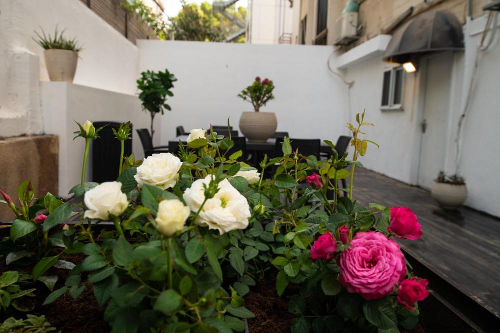 Zahrada ubytování Hotel Apartments 270