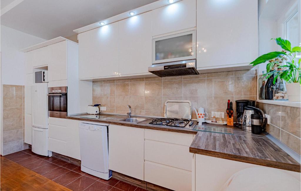 Kuchyň nebo kuchyňský kout v ubytování 1 Bedroom Nice Home In Korcula