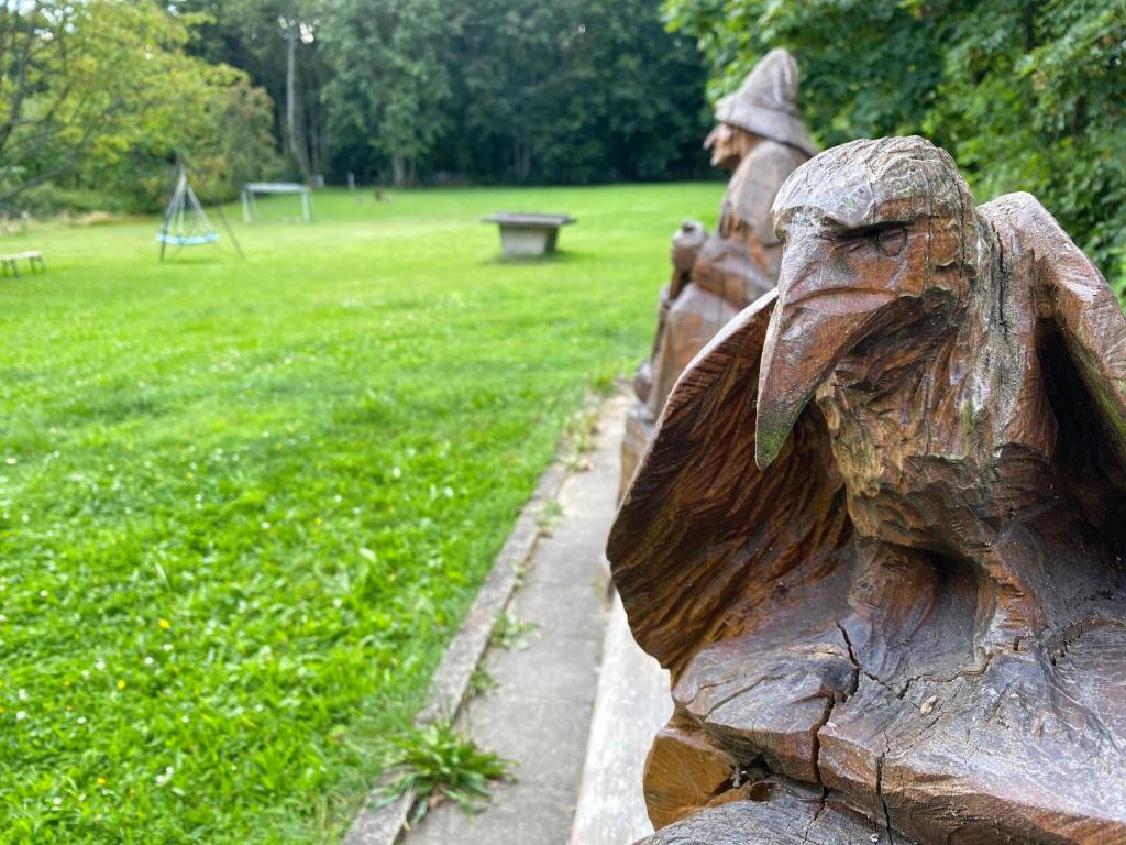 Zvířata v hotelu nebo okolí