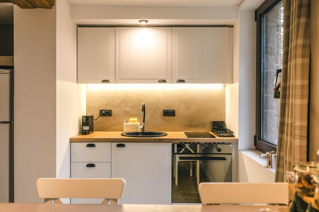 A kitchen or kitchenette at Drey Divcibare