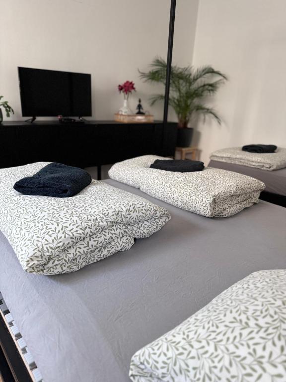 Postel nebo postele na pokoji v ubytování Sušilova 14 apartments I