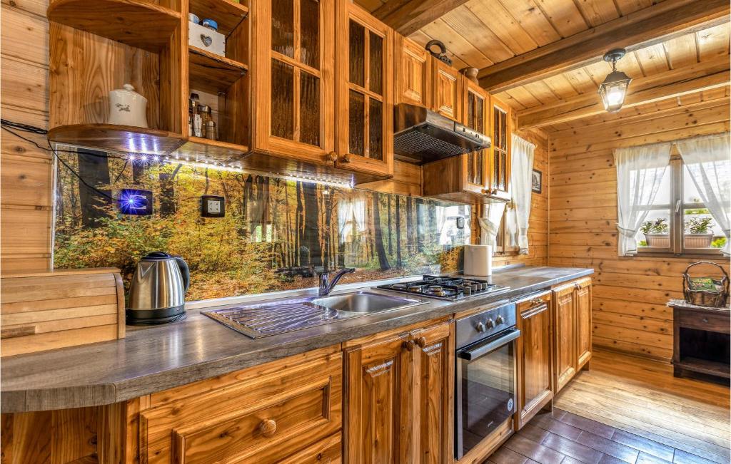 Kuchnia lub aneks kuchenny w obiekcie Gorgeous Home In Gospic With Sauna