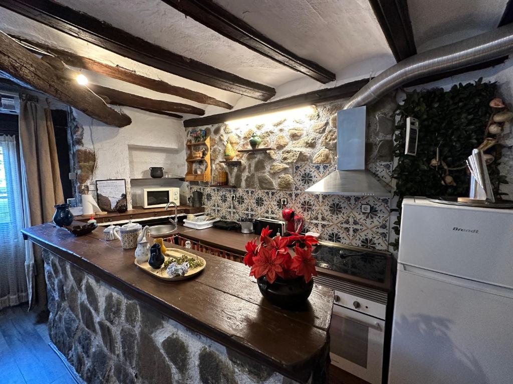 Kuchyň nebo kuchyňský kout v ubytování Casa Notari Congost de Montrebei