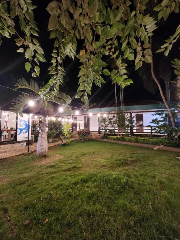 Garður fyrir utan Reef Hostel
